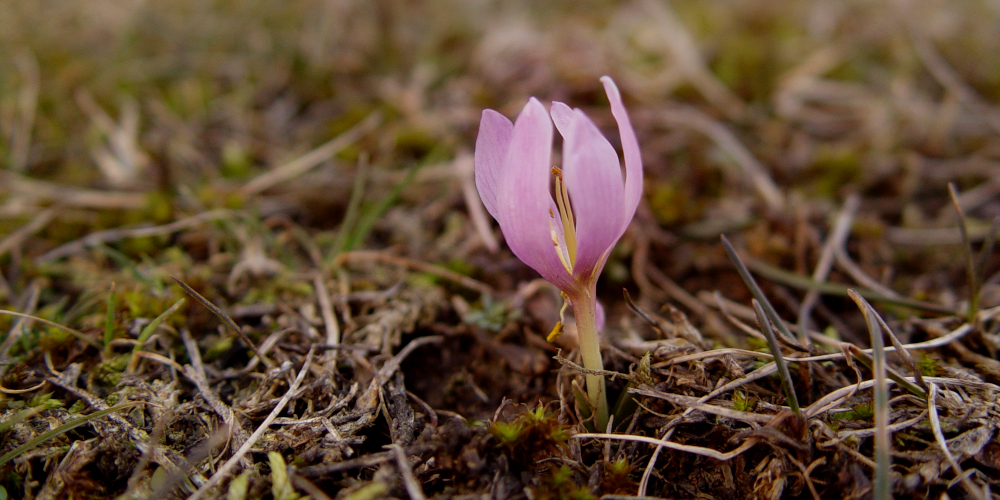 Depth of Field